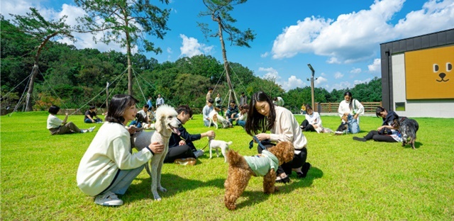 상세페이지 이미지