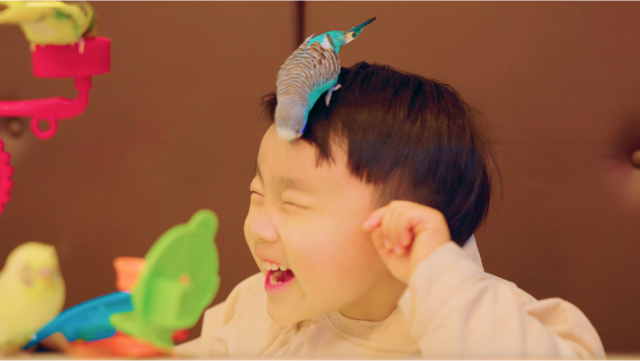 상세페이지 이미지