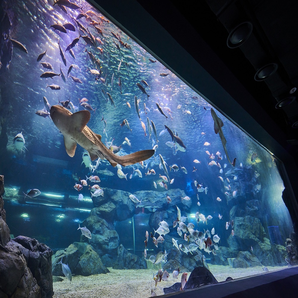 상세페이지 이미지