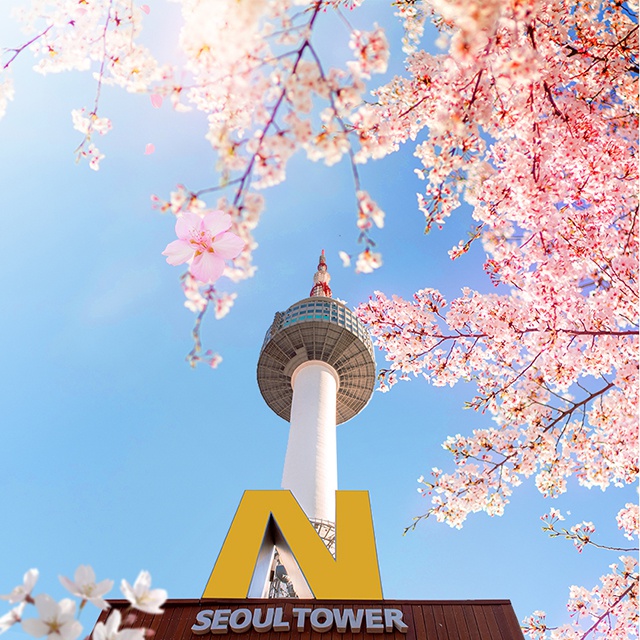 놀이의발견 | 남산 N서울타워 전망대 입장권