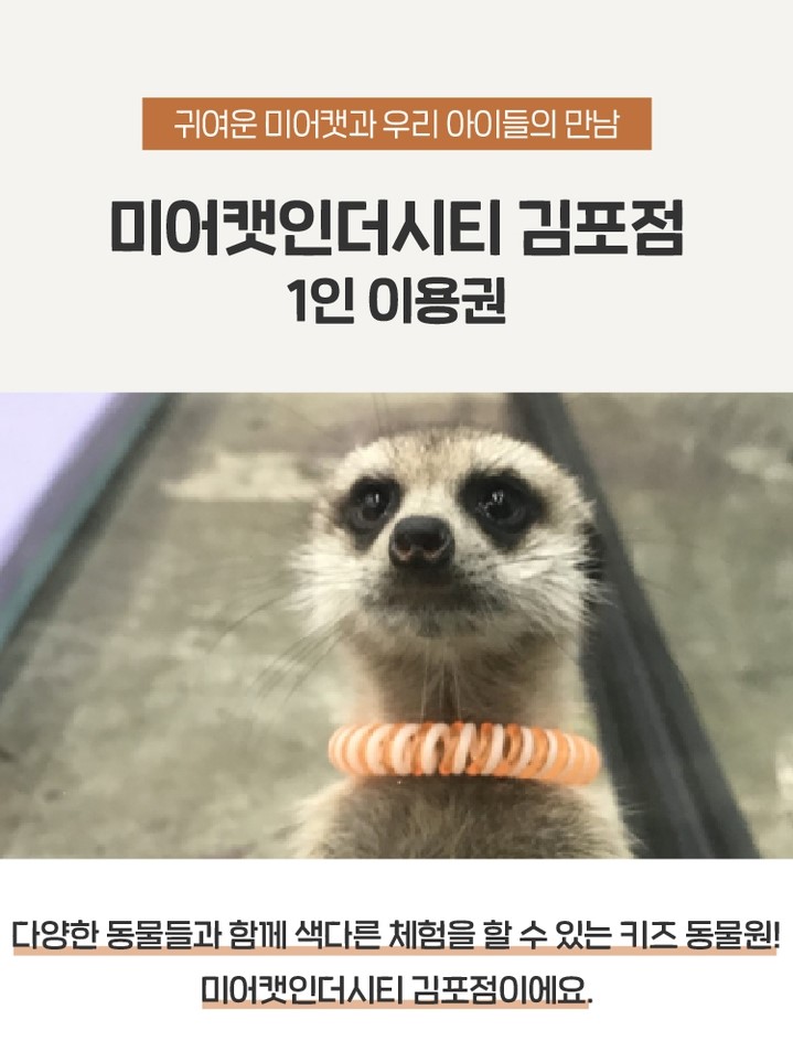 상세페이지 이미지