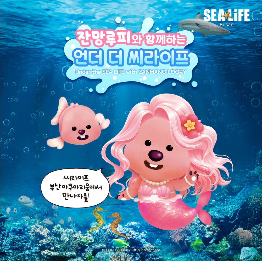 상세페이지 이미지