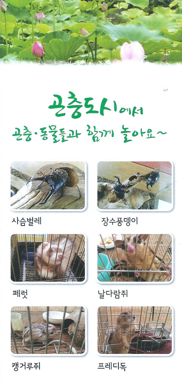 상세페이지 이미지