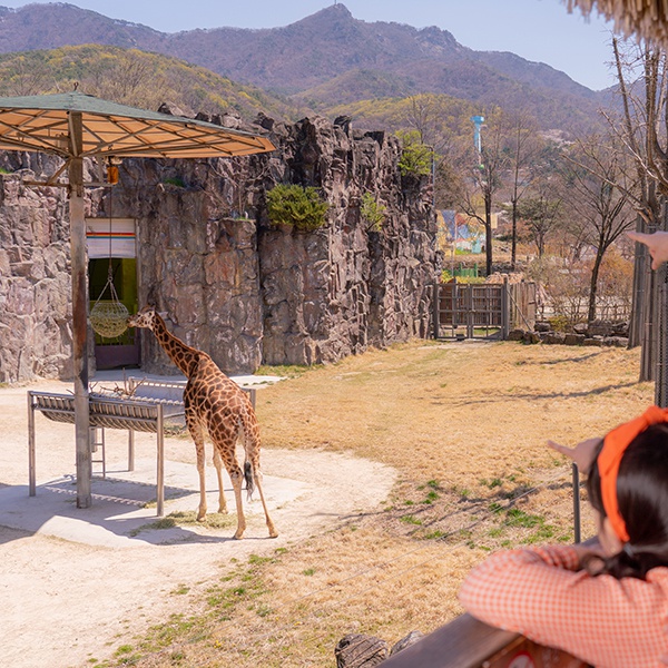 상세페이지 이미지