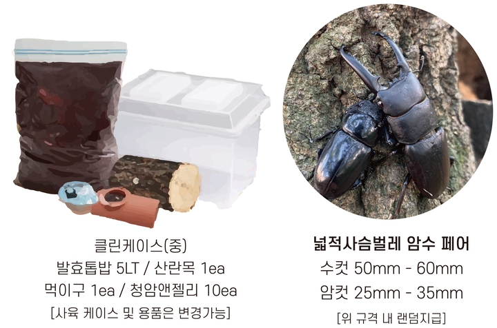 상세페이지 이미지