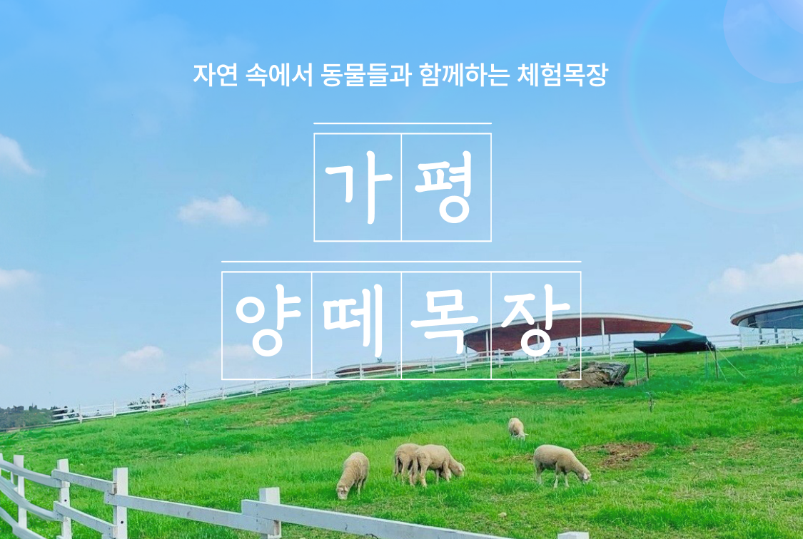 상세페이지 이미지