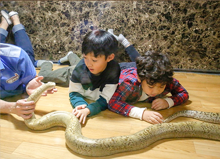 상세페이지 이미지