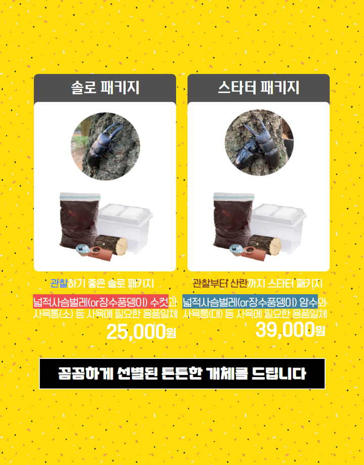 상세페이지 이미지