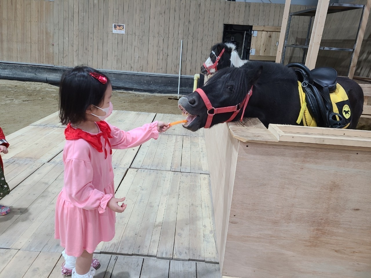 상세페이지 이미지