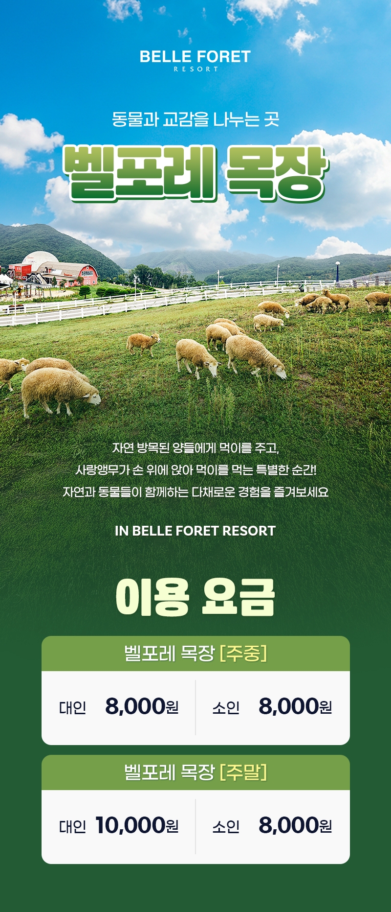 상세페이지 이미지