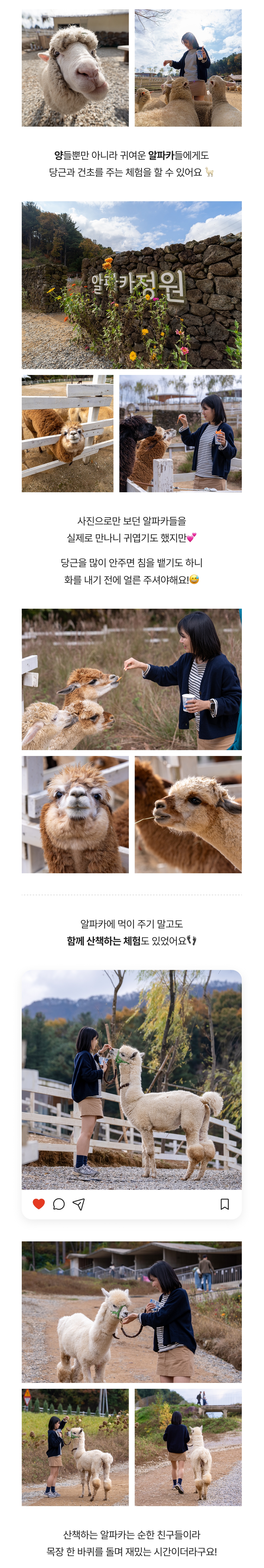 상세페이지 이미지