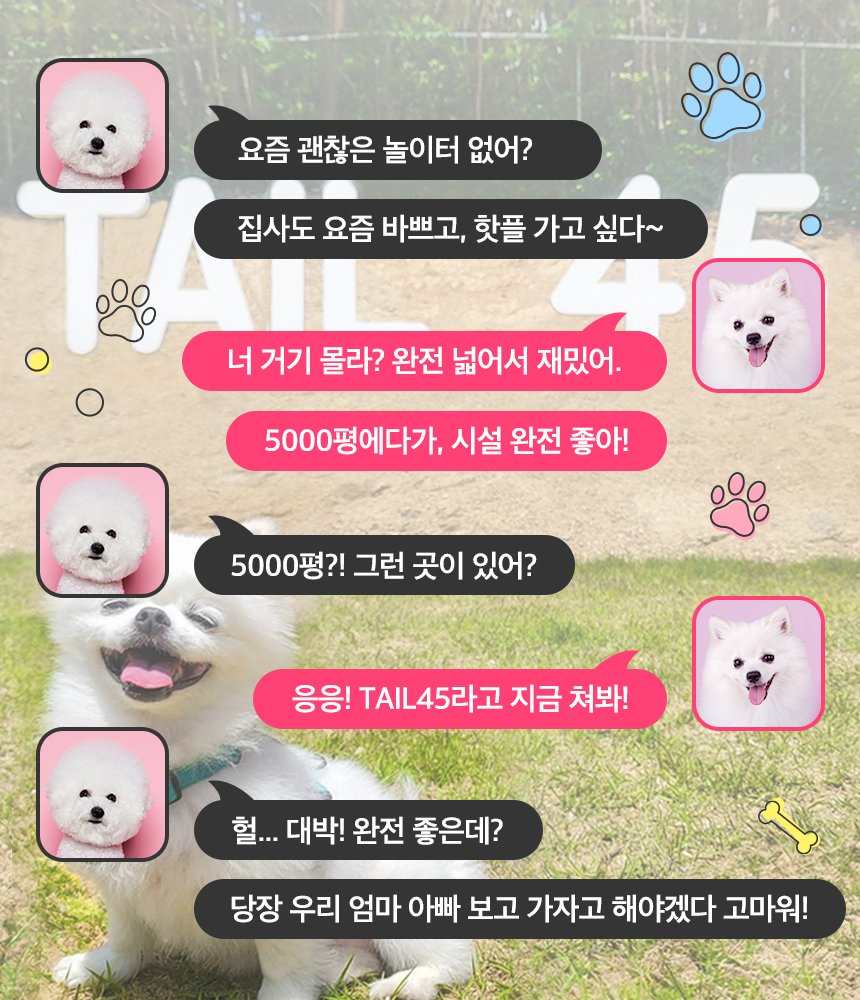 상세페이지 이미지