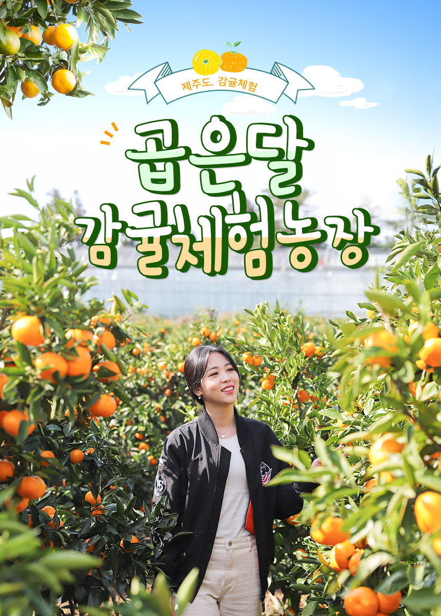 상세페이지 이미지
