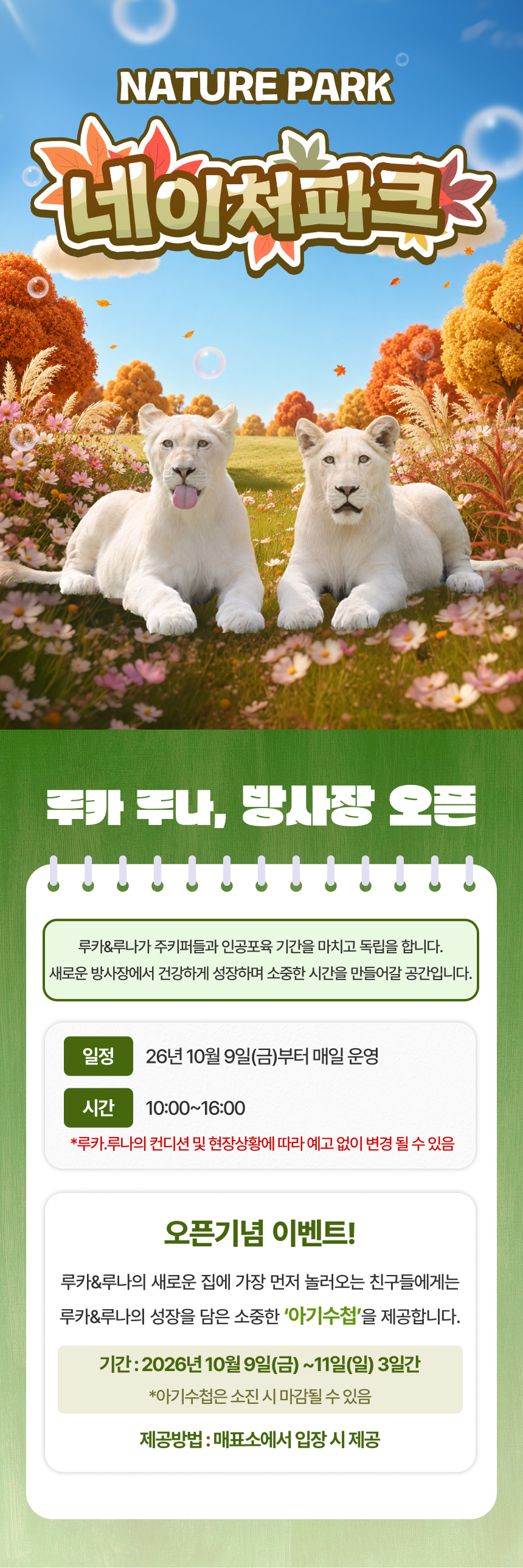상세페이지 이미지