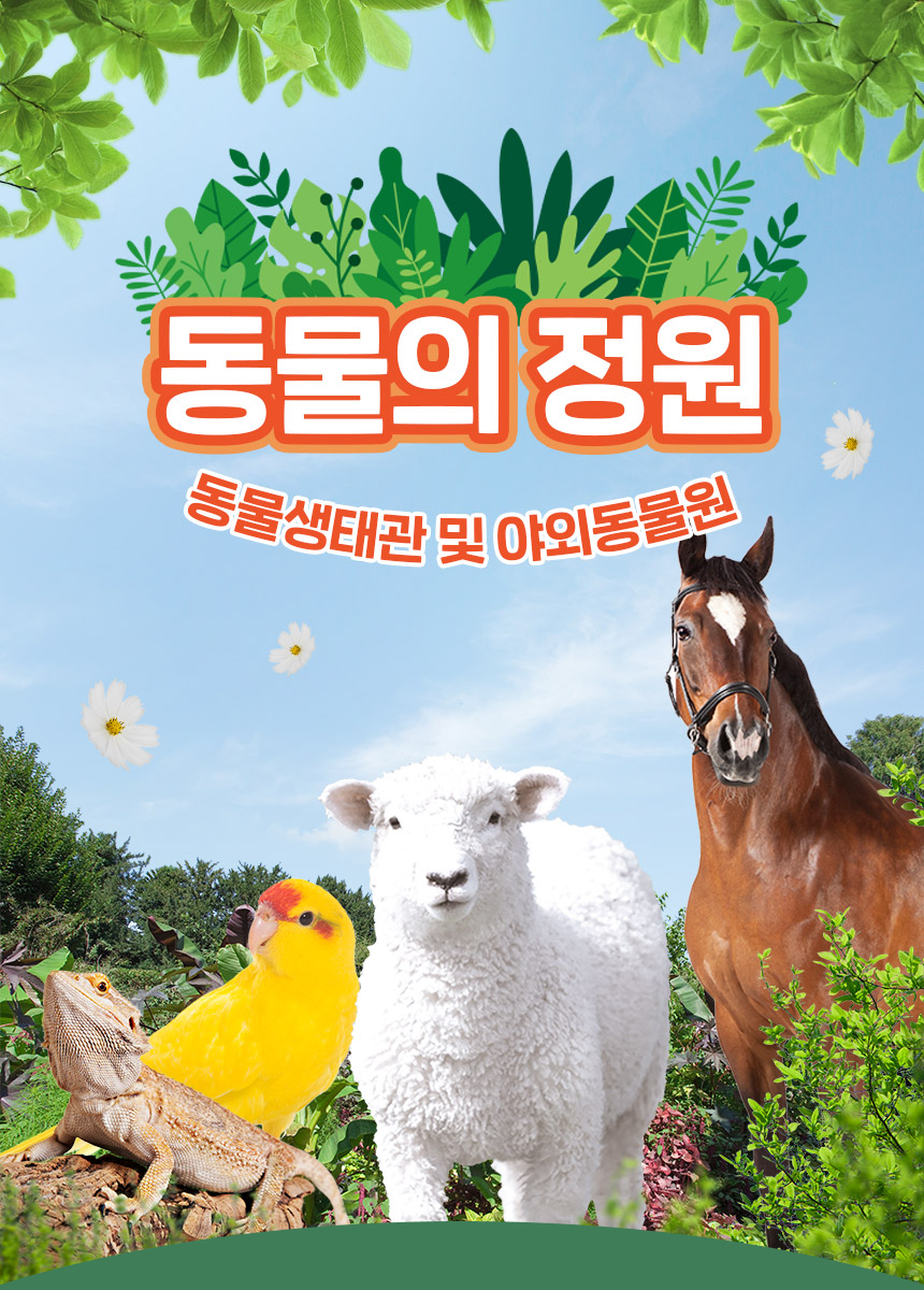 상세페이지 이미지