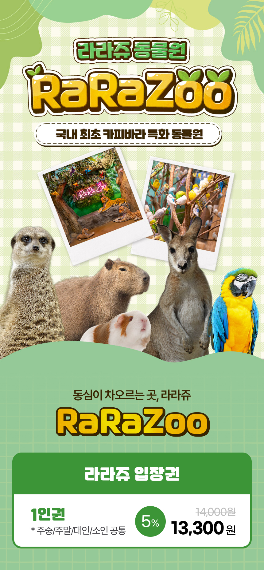 상세페이지 이미지