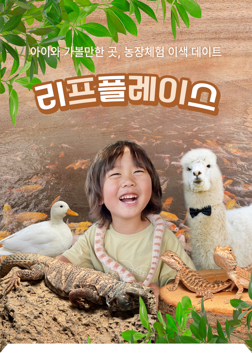 상세페이지 이미지