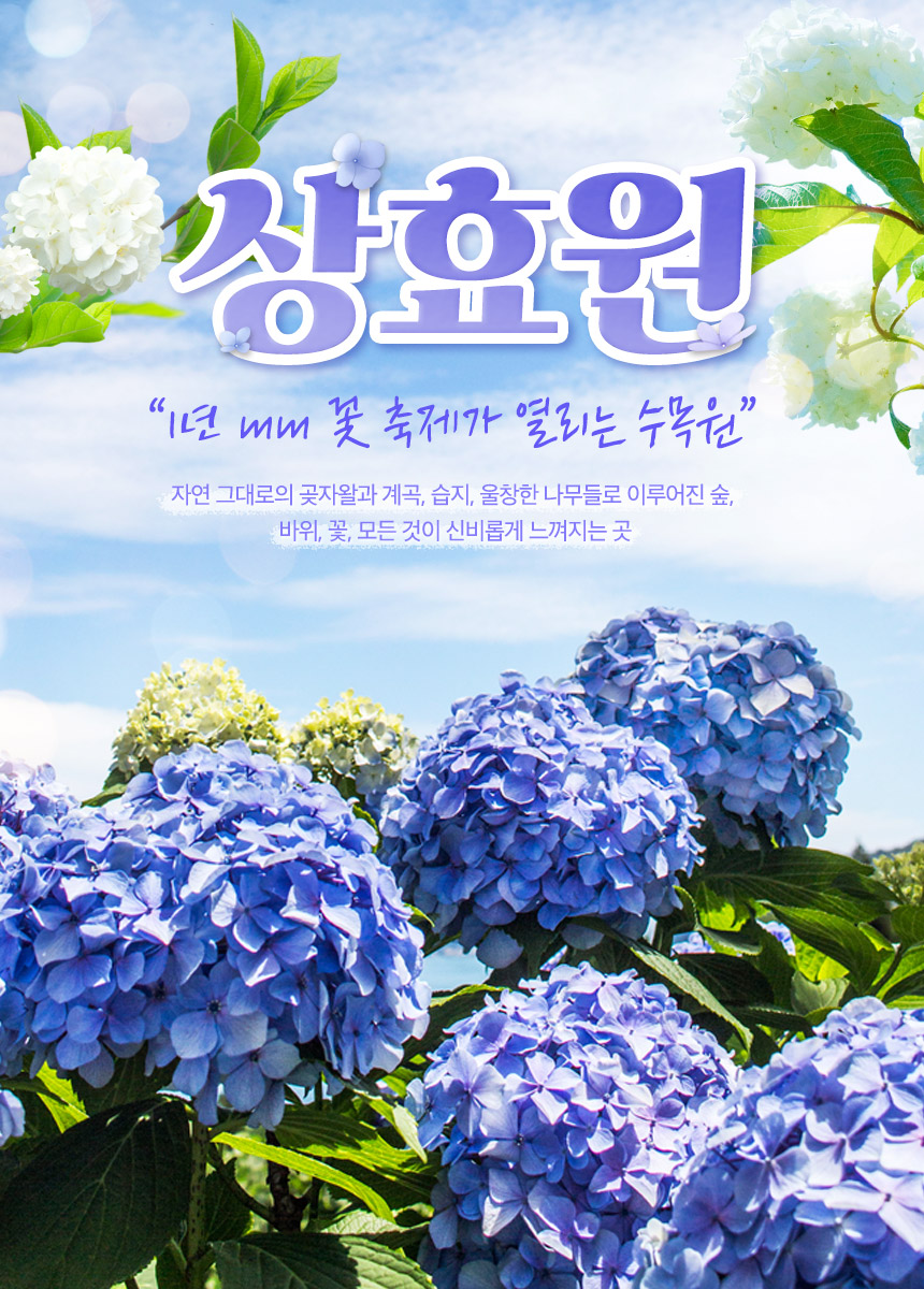 상세페이지 이미지
