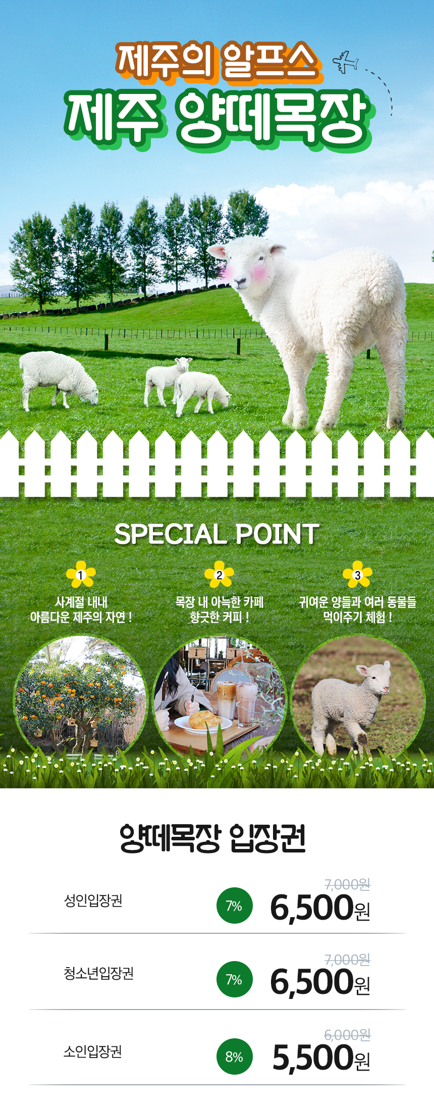 상세페이지 이미지