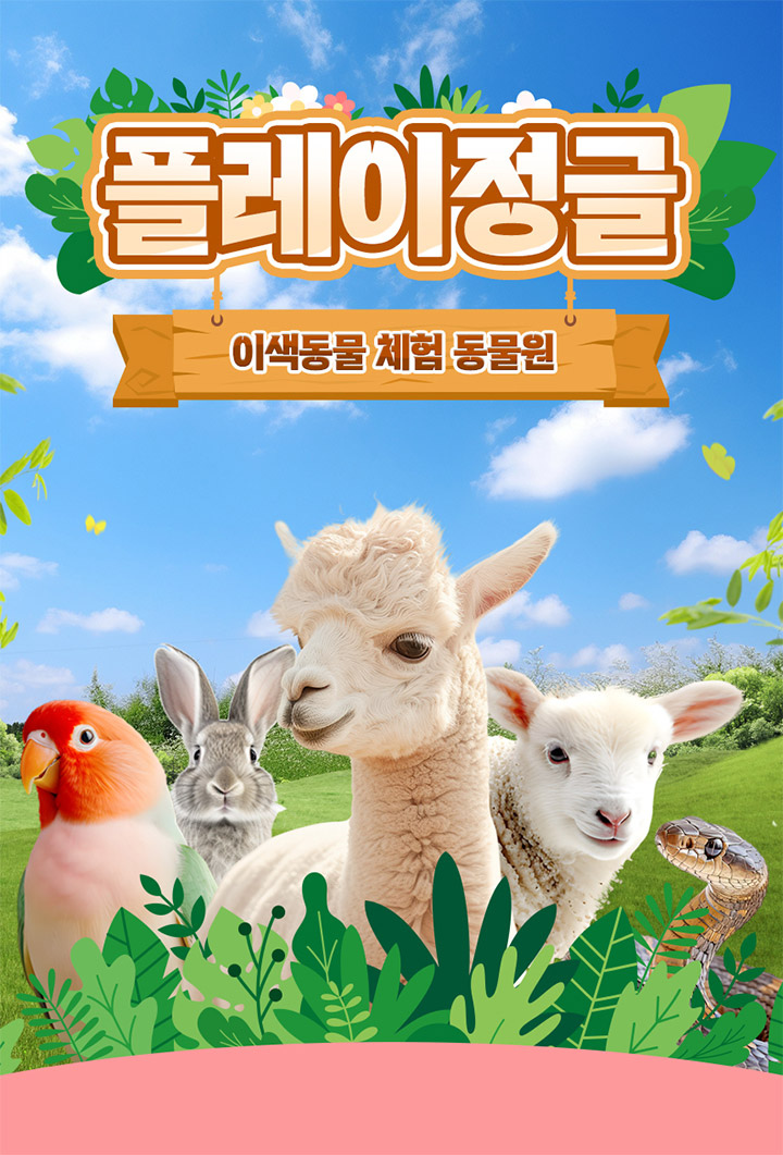 상세페이지 이미지