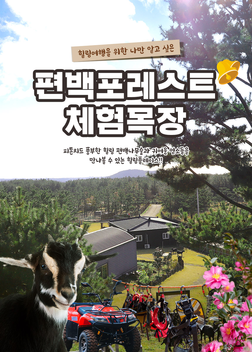 상세페이지 이미지
