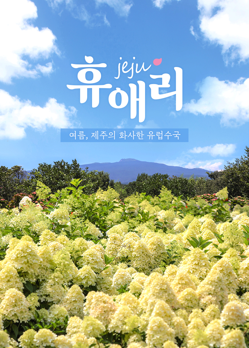 상세페이지 이미지
