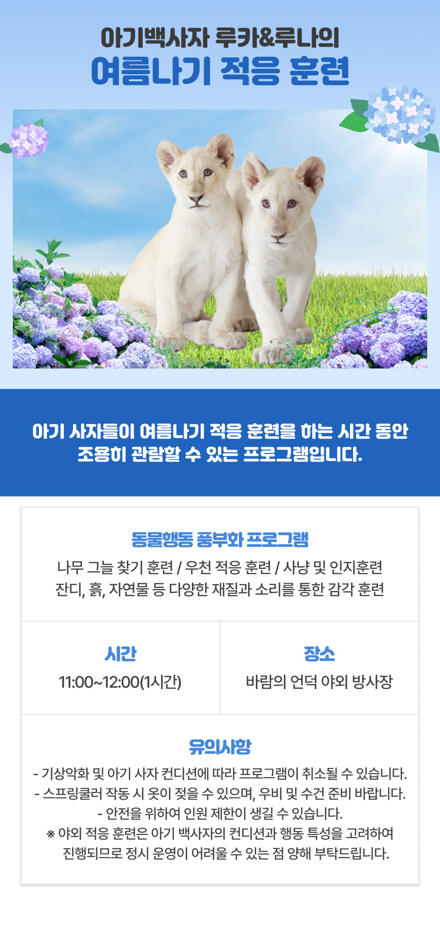 상세페이지 이미지