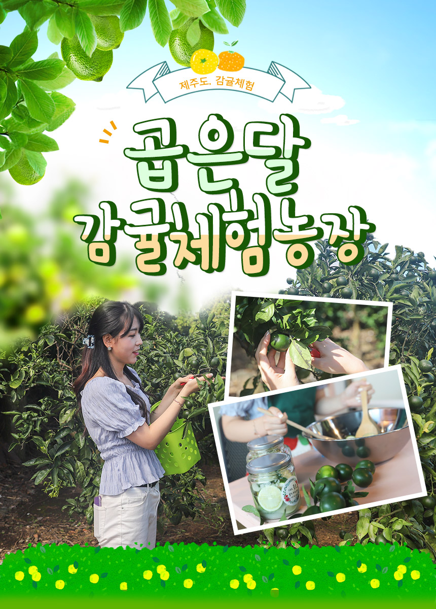 상세페이지 이미지