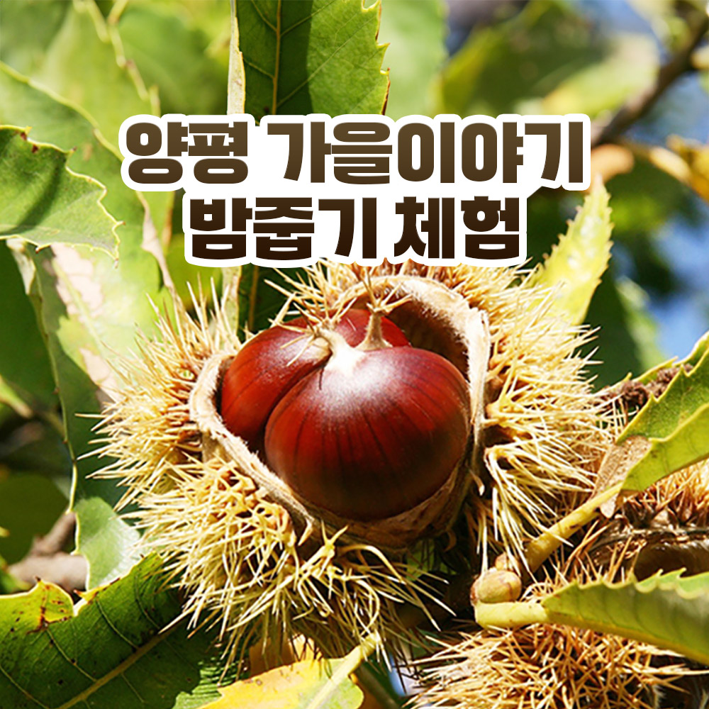 상세페이지 이미지