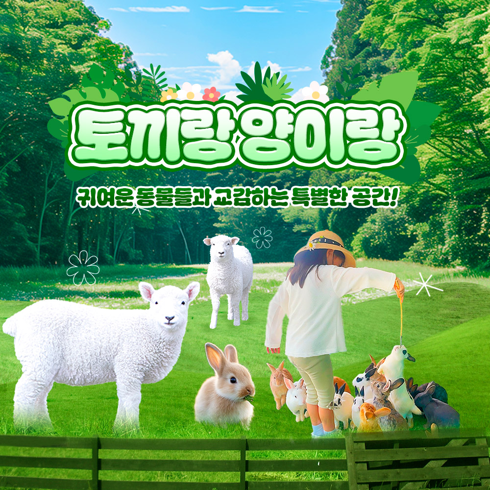 상세페이지 이미지