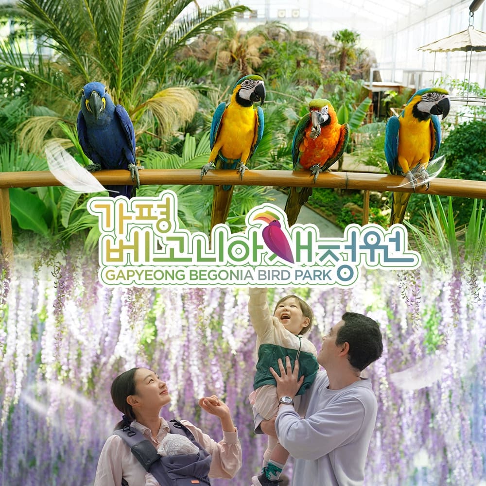 상세페이지 이미지