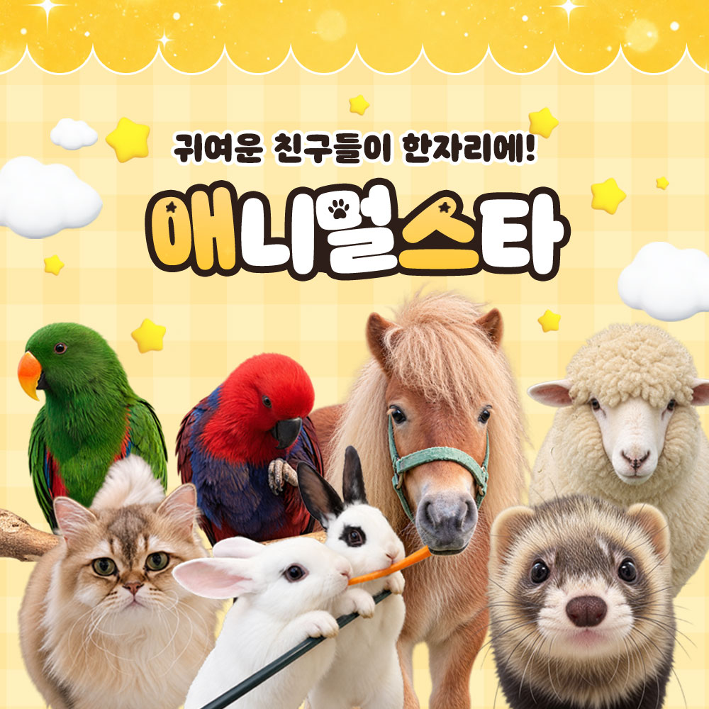 상세페이지 이미지