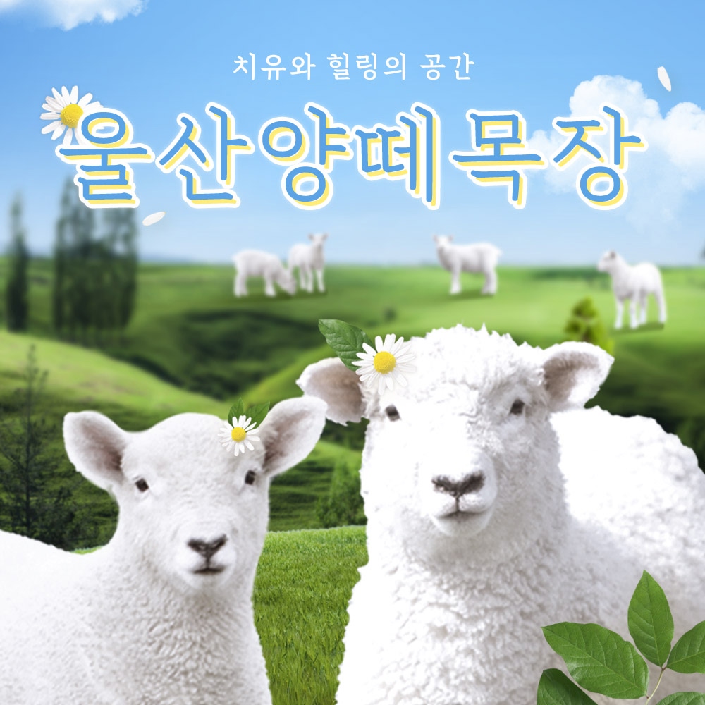 상세페이지 이미지