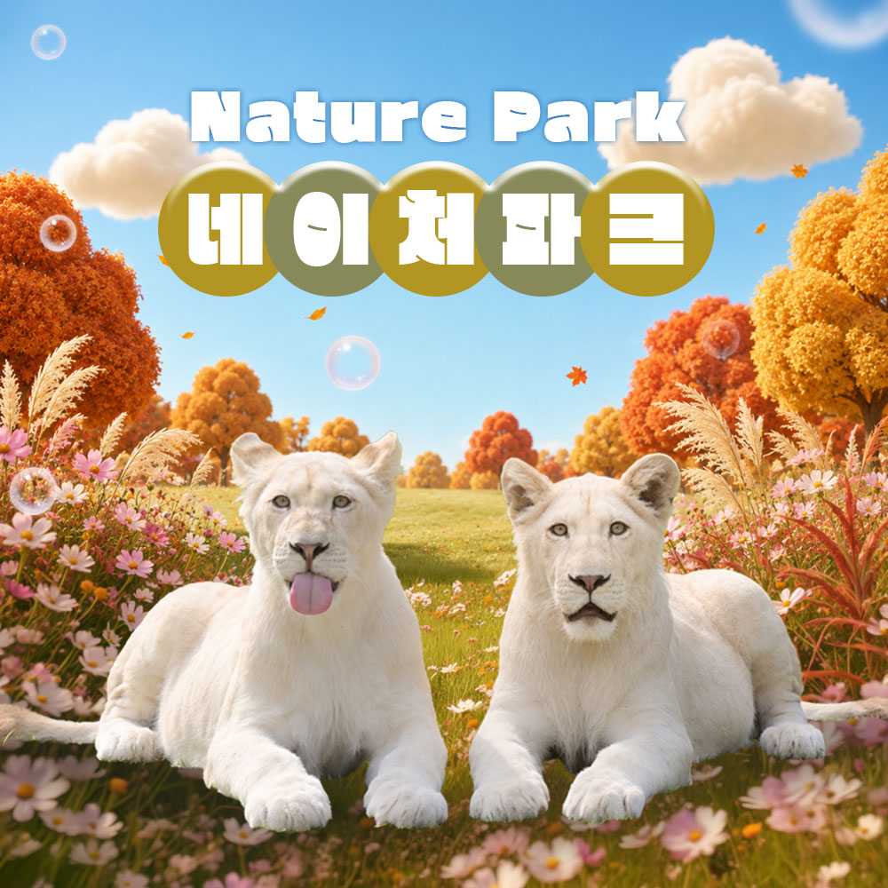 상세페이지 이미지