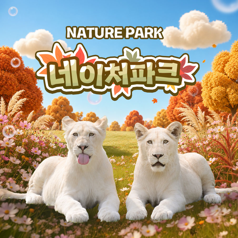 상세페이지 이미지