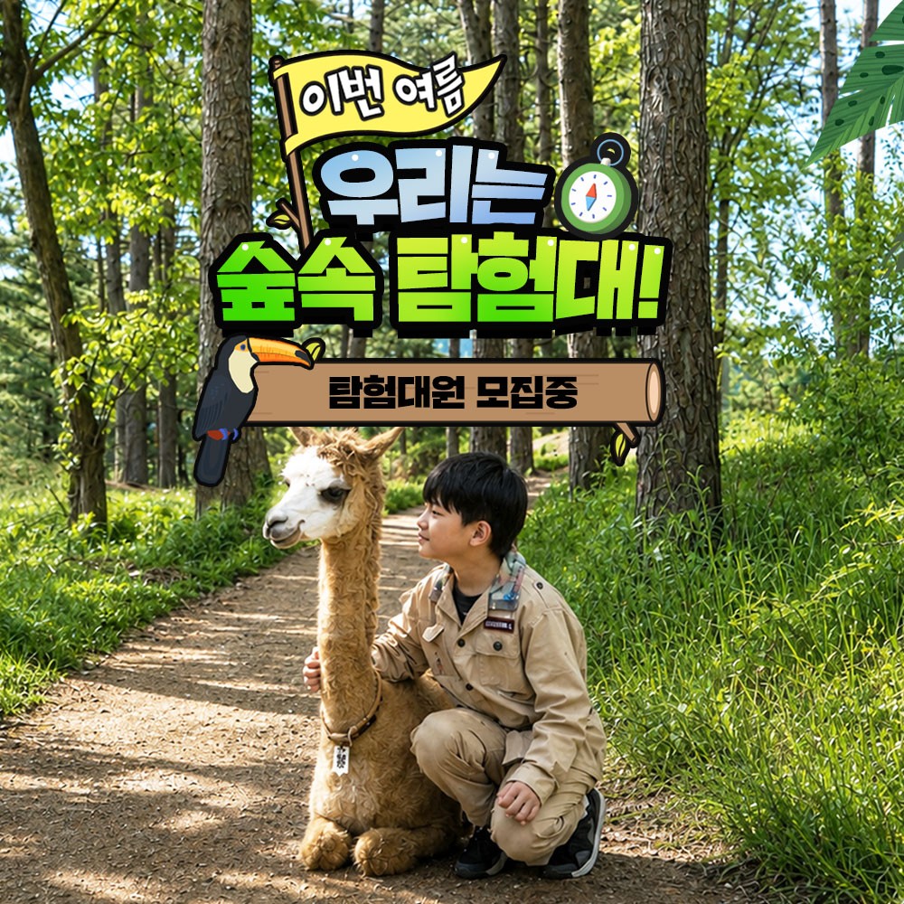 상세페이지 이미지