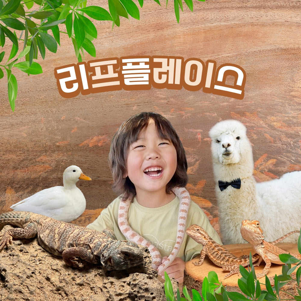 상세페이지 이미지