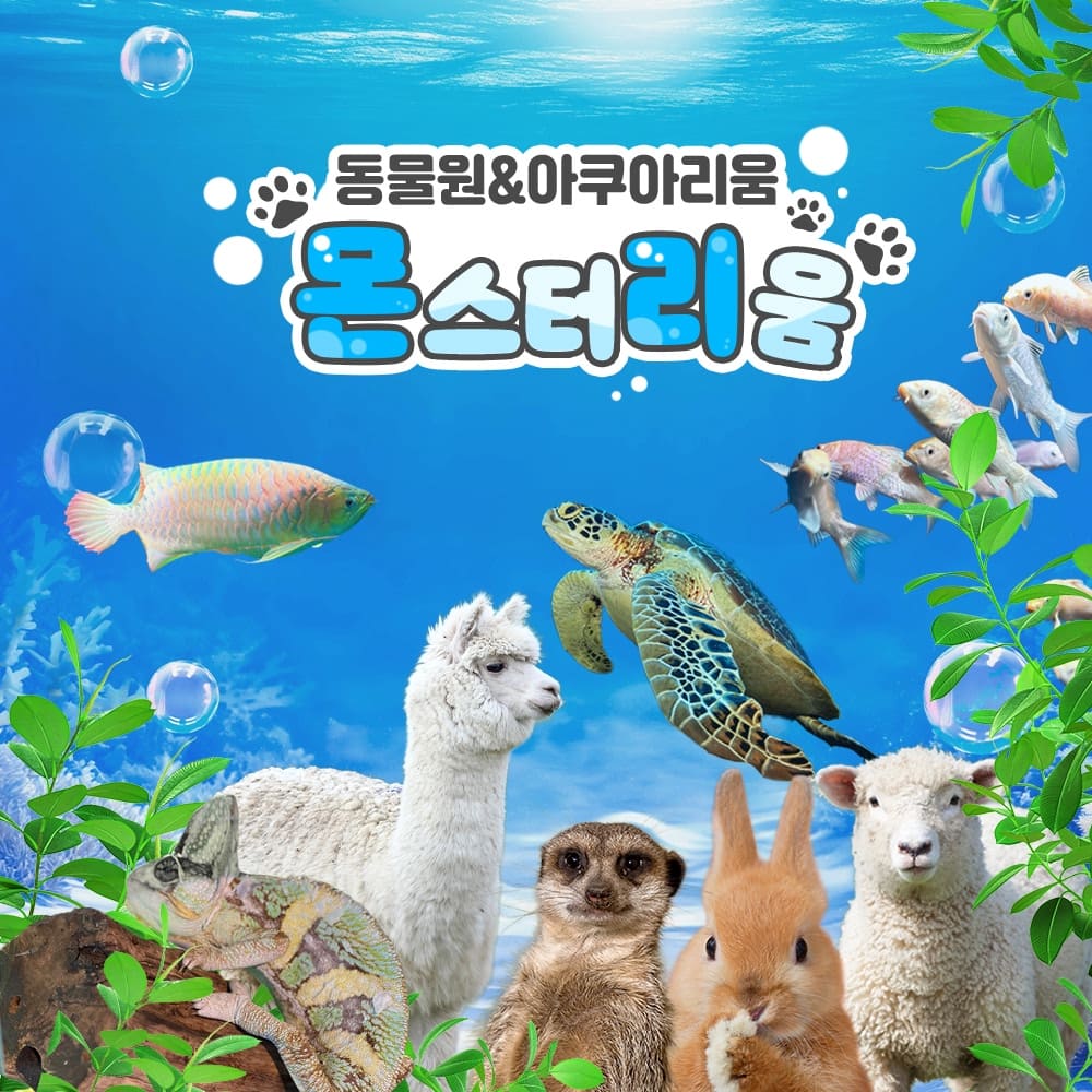 상세페이지 이미지