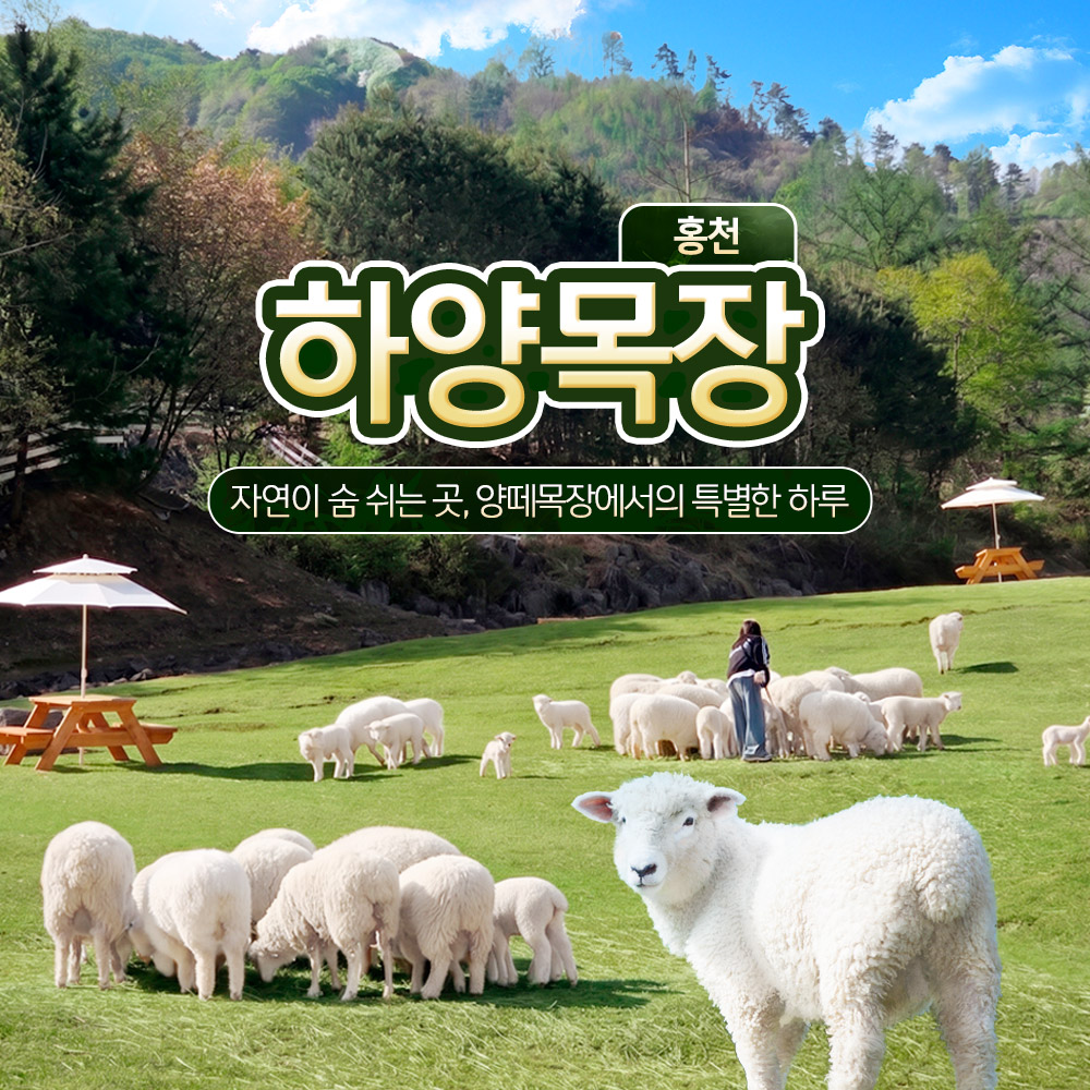 상세페이지 이미지