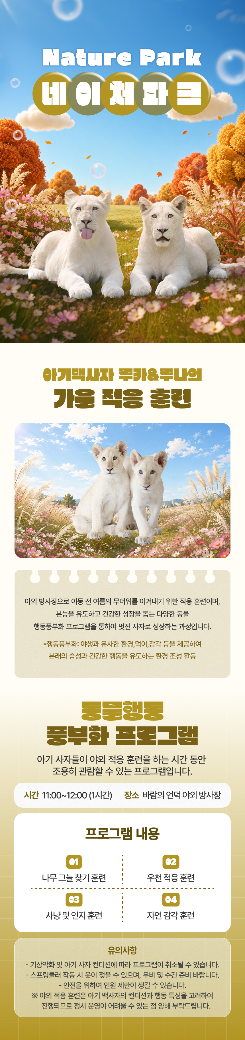 상세페이지 이미지