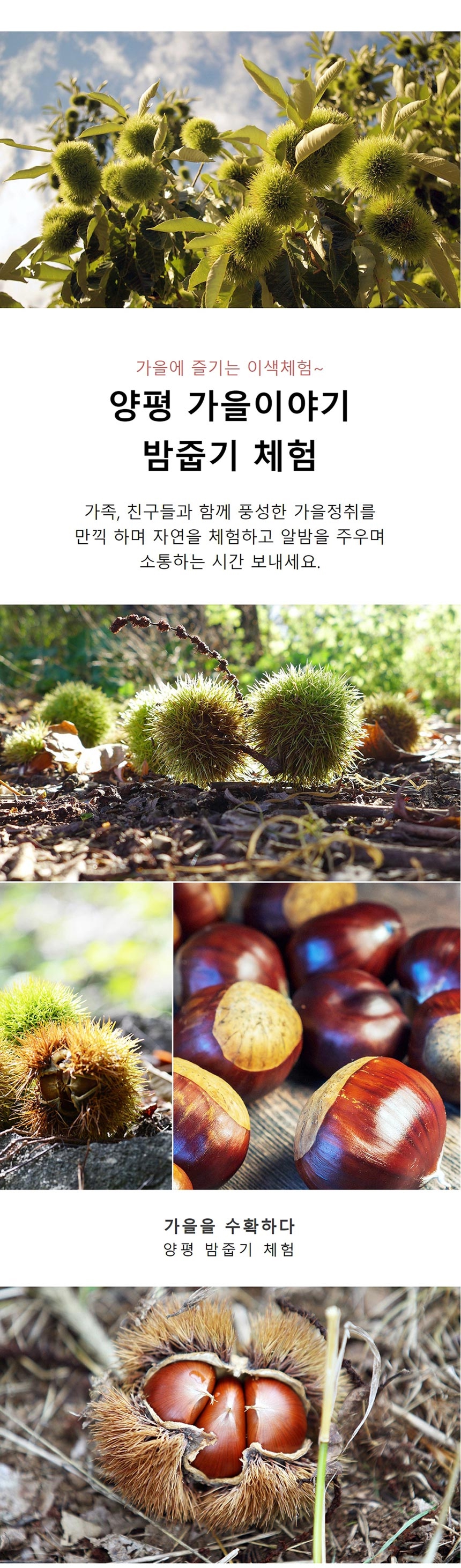 상세페이지 이미지