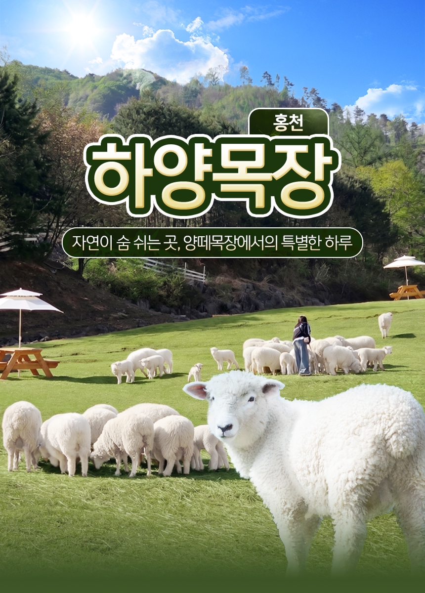 상세페이지 이미지