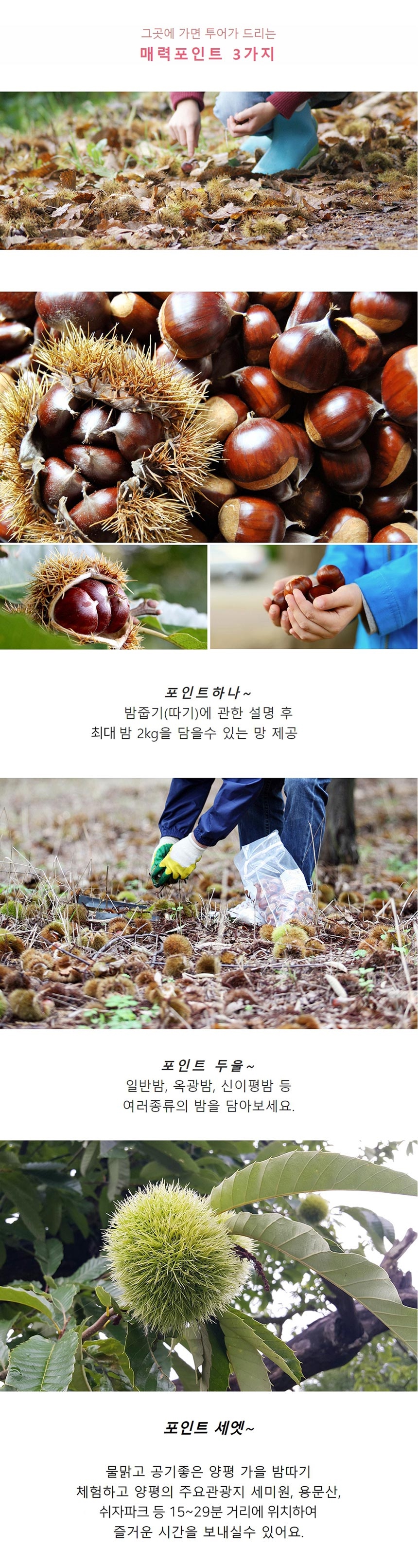 상세페이지 이미지