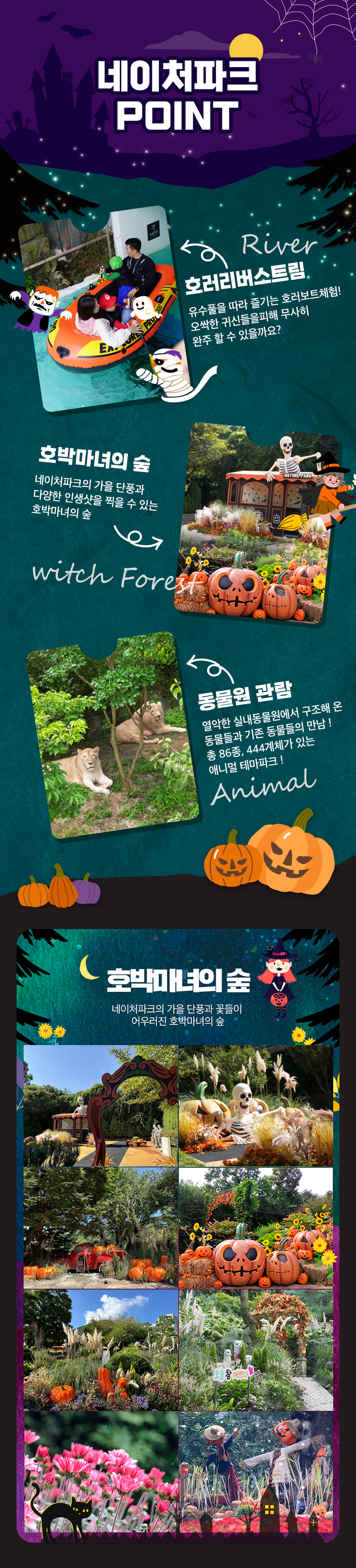 상세페이지 이미지