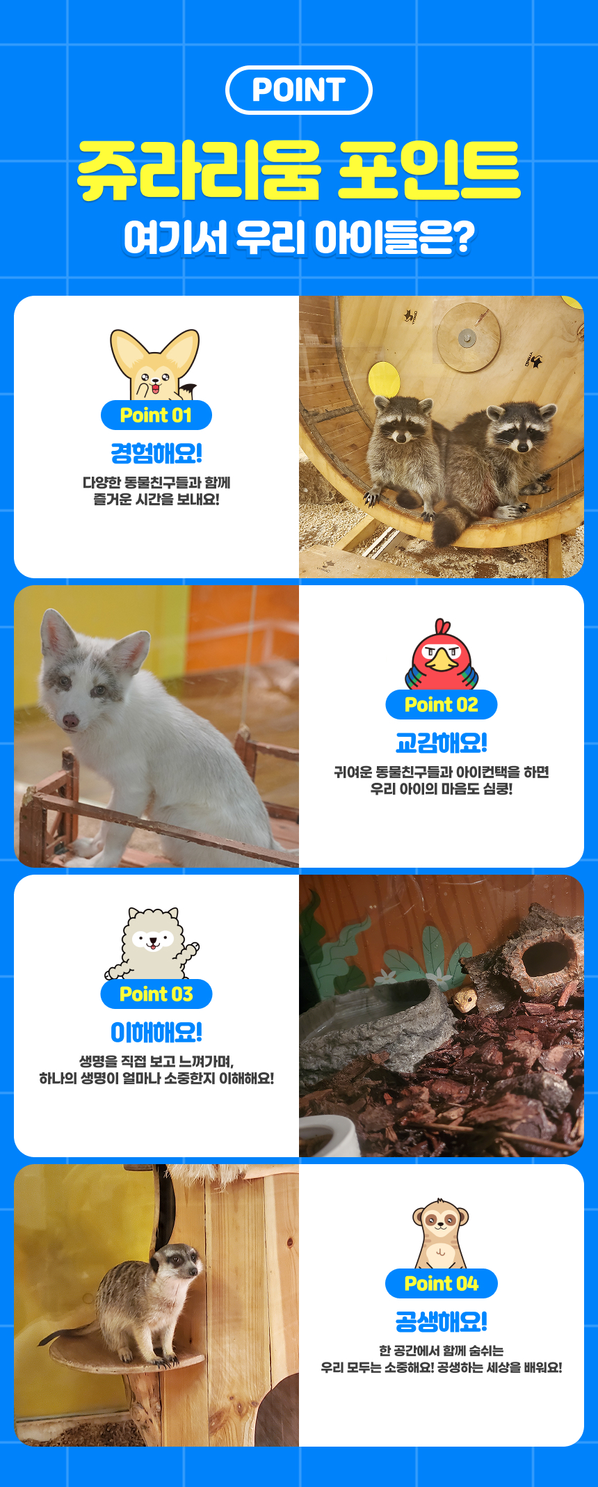 상세페이지 이미지