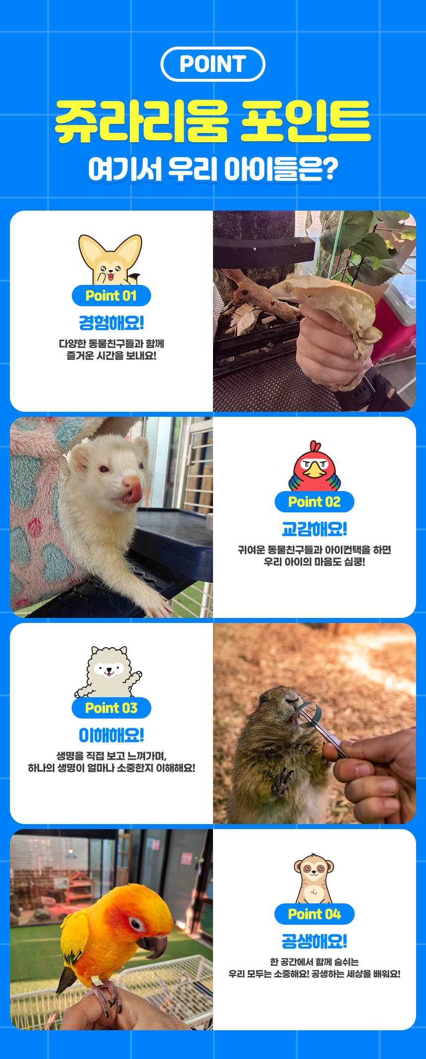상세페이지 이미지