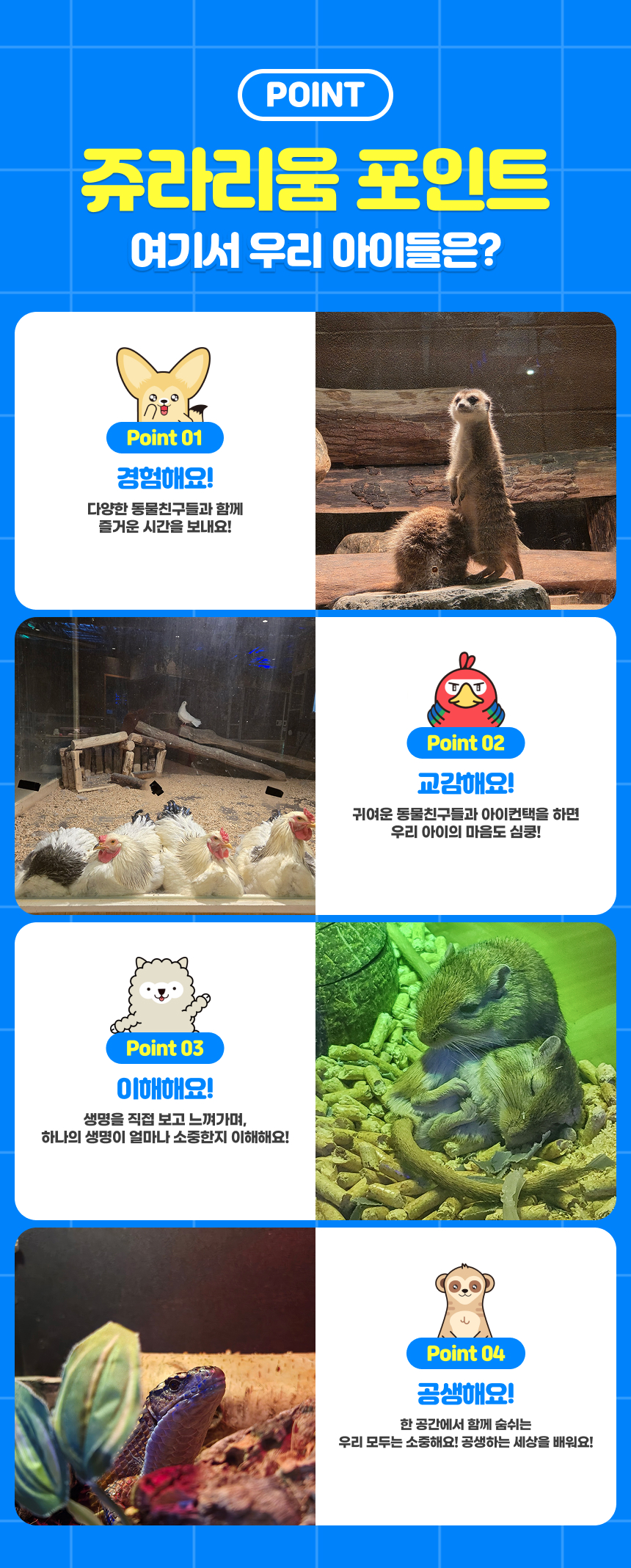 상세페이지 이미지