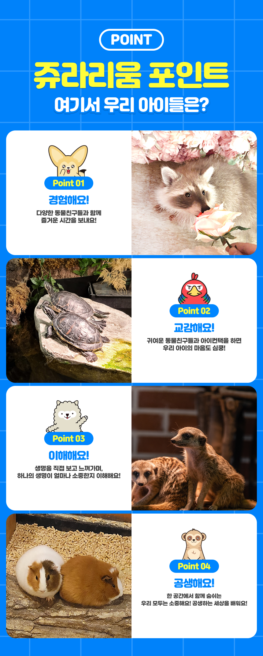 상세페이지 이미지