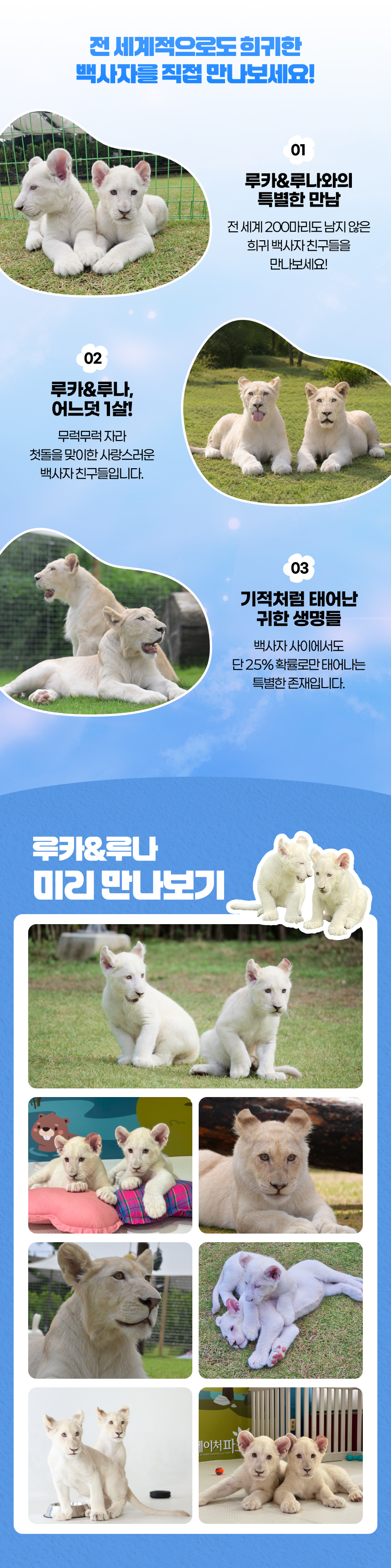 상세페이지 이미지