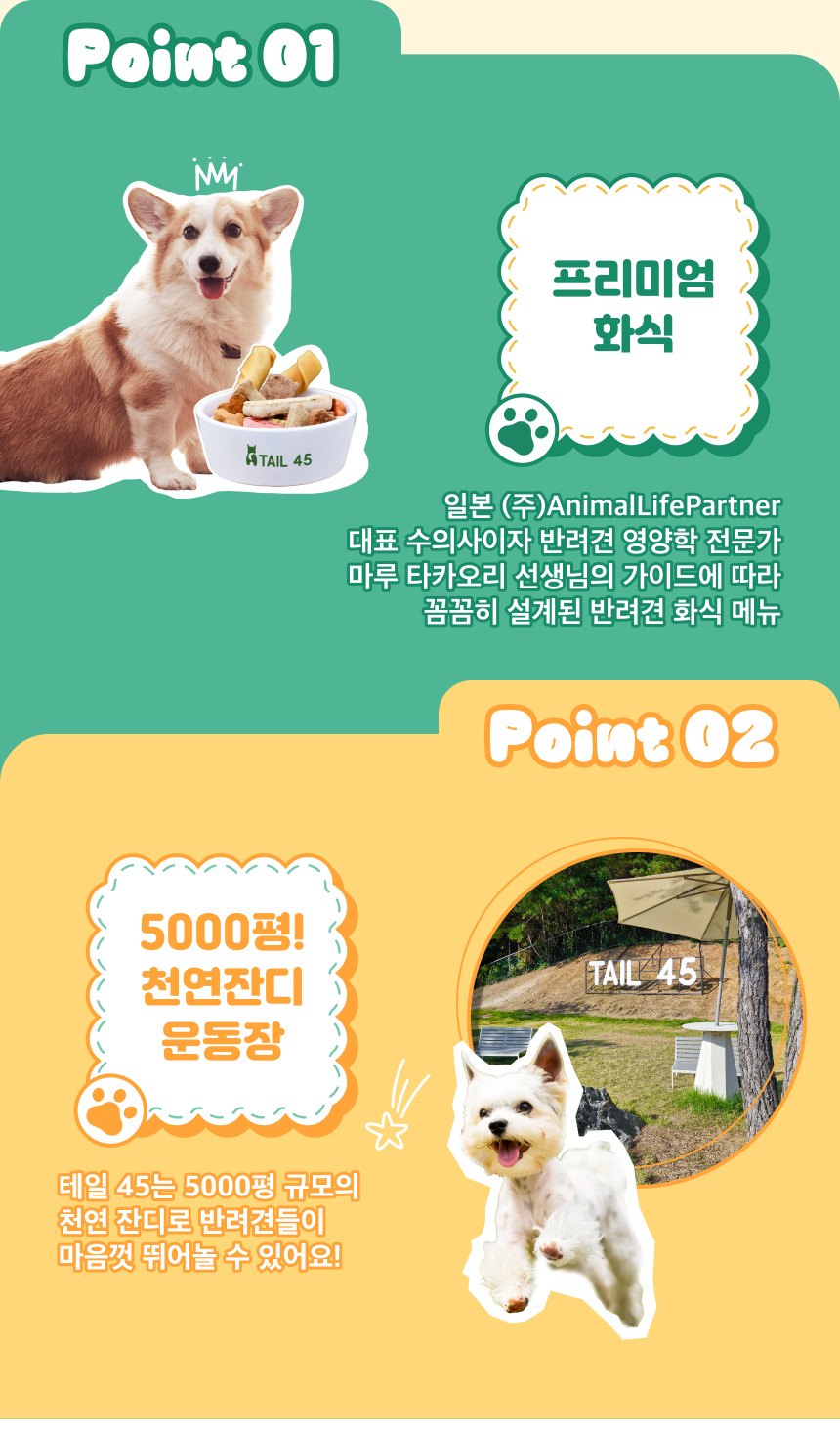 상세페이지 이미지